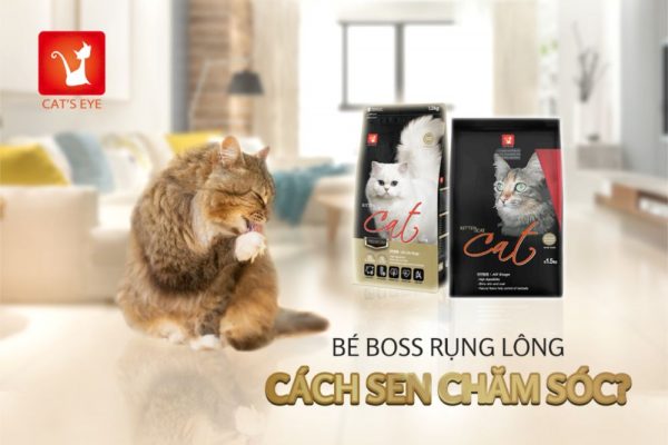 VietPet khẳng định vị thế thương hiệu với chiến dịch quảng cáo trên taxi VietPet quảng cáo trên Taxi